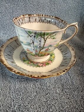 Vintage Royal Albert Silver Birch Teacup & Saucer